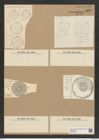 Hyphodiscus stellatus Grev. (de-Toni-Nr.: Genus 184, Species 4610) Zeichnungen Sammlung Grunow Nr. 8220 (NHMW-BOT-W0377605)
